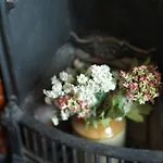 Guest house Harveys Guest House 3*